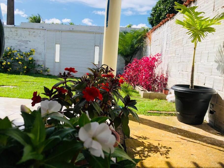 Appartamento Casa Em Barreirinhas 01 Esterno foto